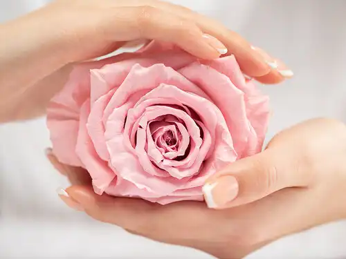 skin booster